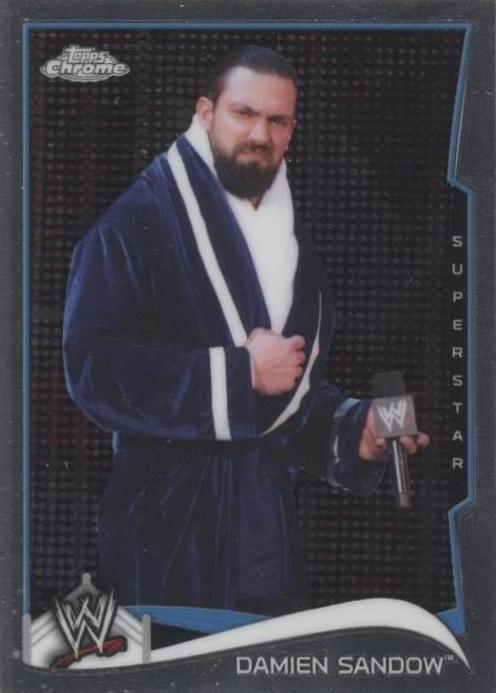 2014 Topps Chrome WWE - Damien Sandow #64 - 1 of 1