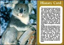 A1770 Australia Animals Koala Story Card Yass Greetings postcard