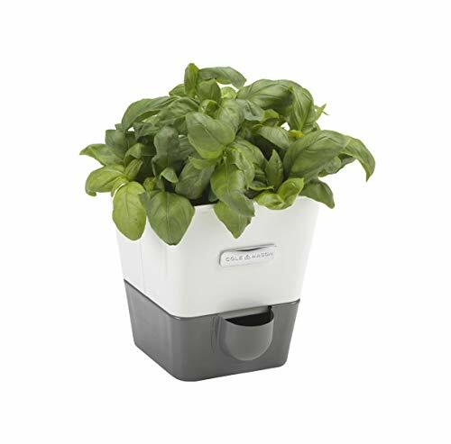 Cole & Mason - Vaso Conservatore di erbetta Fresca con Supporto, (L4w)