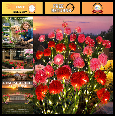 Solar Garden Lights 6 Pack - Waterproof Flower Pathway Decor, 2 Modes, Multi-Col