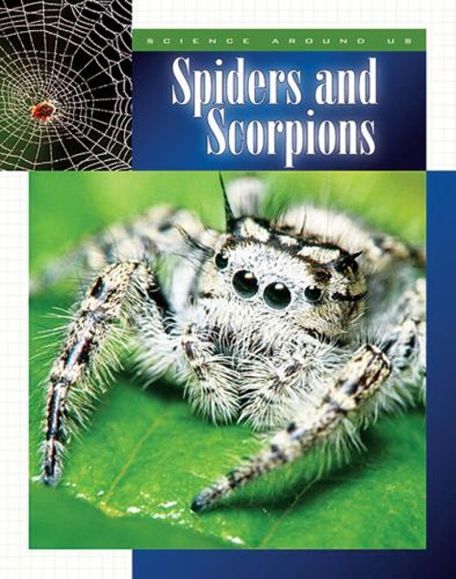 Spiders and Scorpions Hardcover Peter MurrayFree US Delivery | ISBN:1592962734