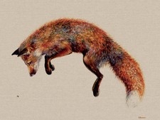 Jane Bannon - Felix & the Bee - Canvas Print Wall Art 3 sizes available - Fox