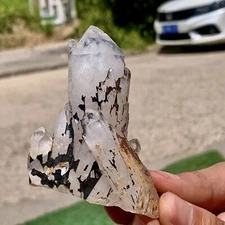 157G Natural White Crystal Backbone Cluster Black Mineral Mud Specimen