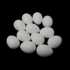 12PCS Mini Plastic Pigeon Eggs Simulation Dummy Hatching Eggs Durable Realistic
