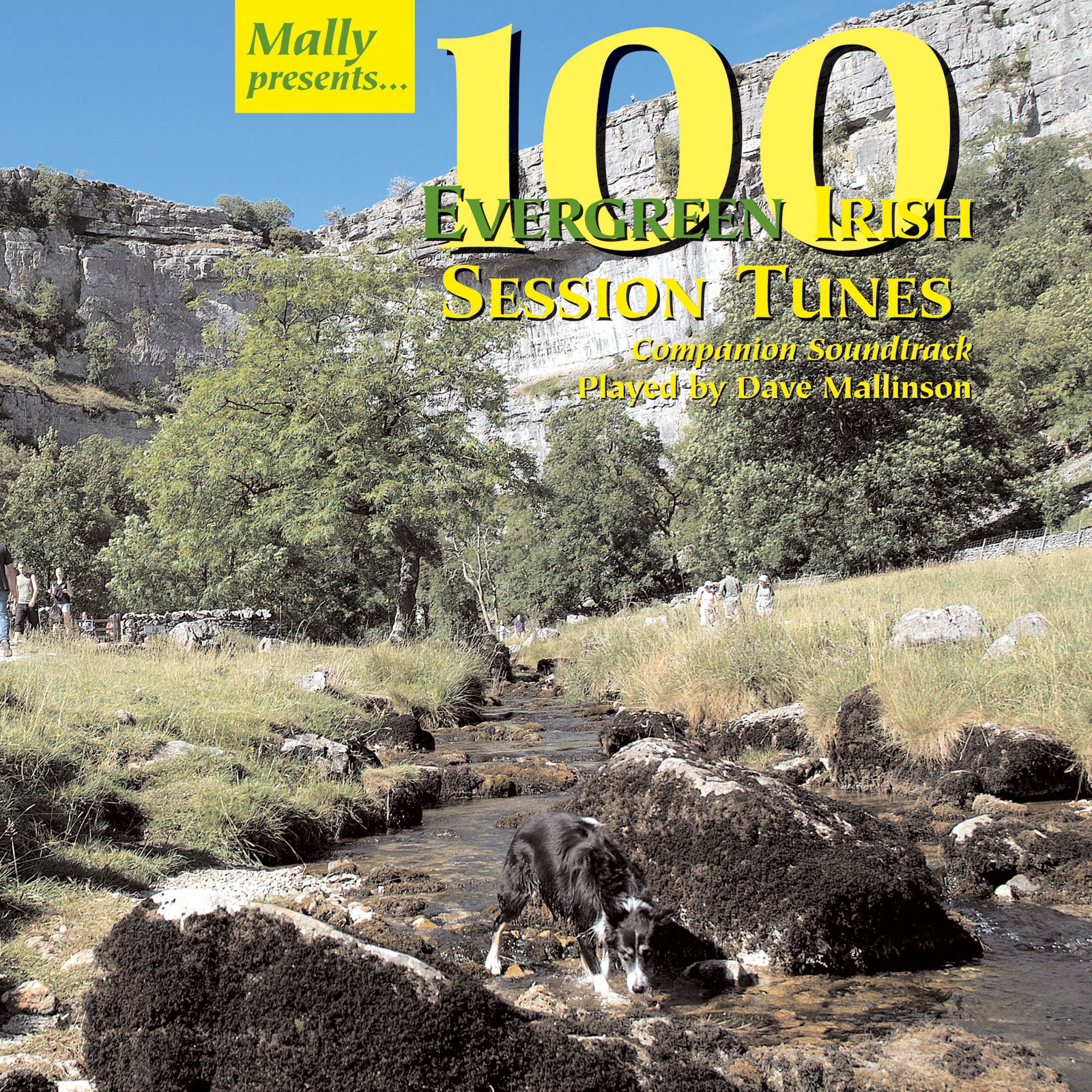 100 Evergreen Irish Session Tunes accompanying CD : Dave Mallinson