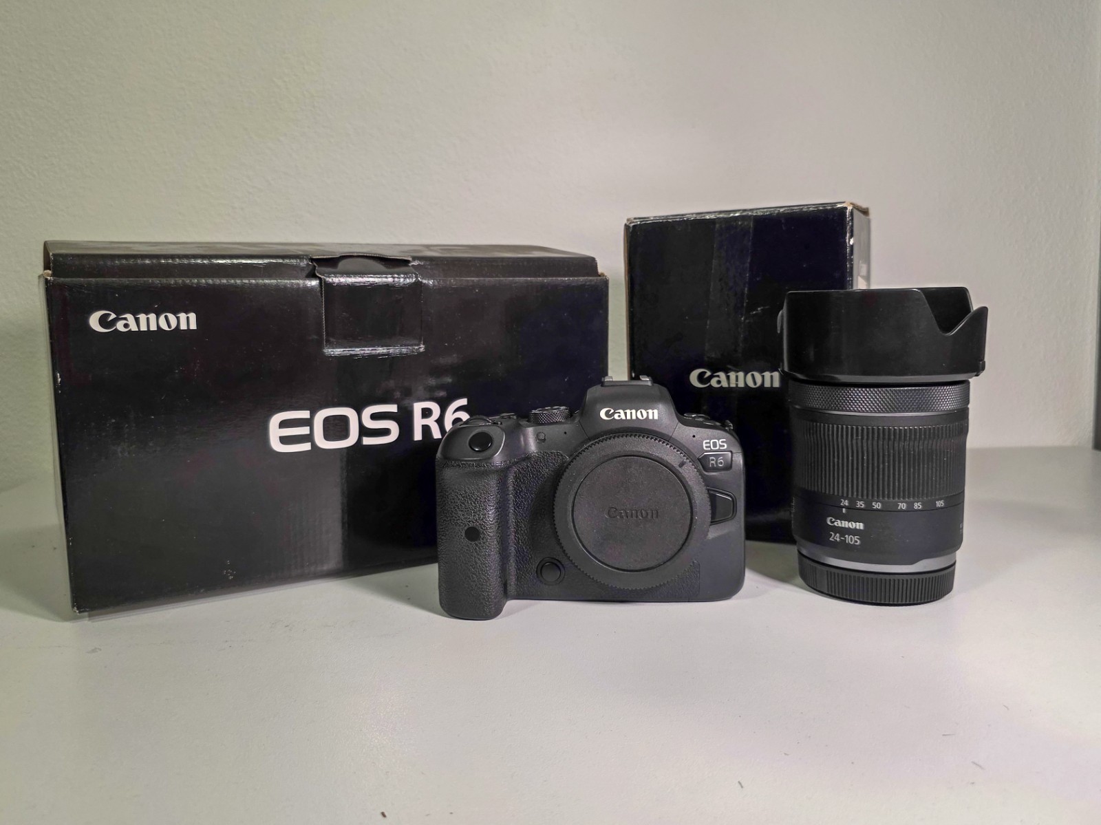 Canon EOS R6 Mark I + Obiettivo Canon RF 24-105 F4-7.1