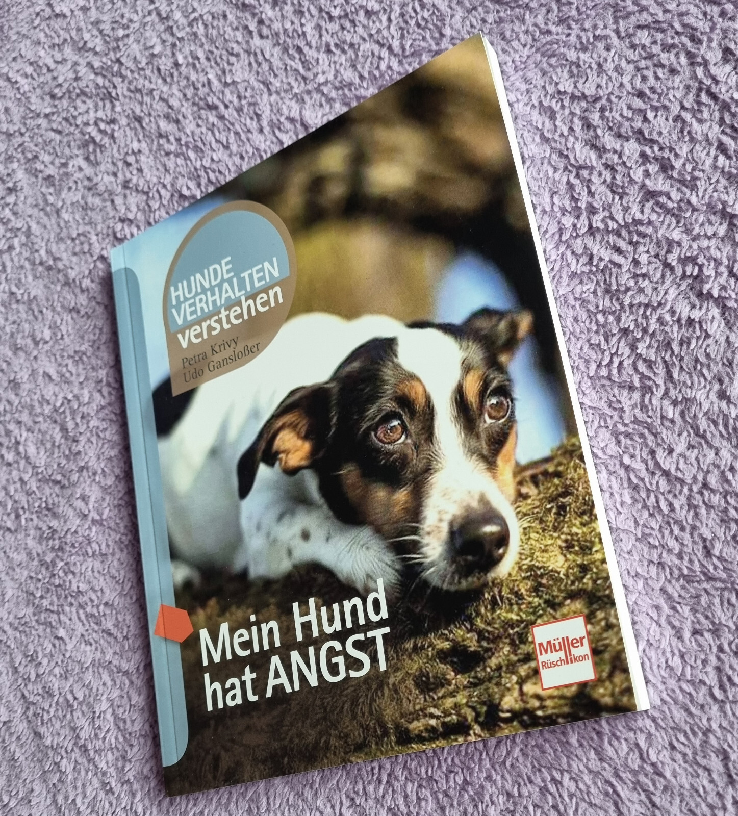 Thumbnail - Mein Hund Hat Angst Von Petra Krivy