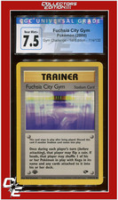 Image for Fuchsia City Gym
