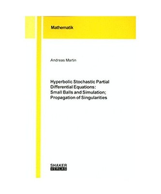 Hyperbolic Stochastic Partial Differential Equations: Small Balls and Simulation