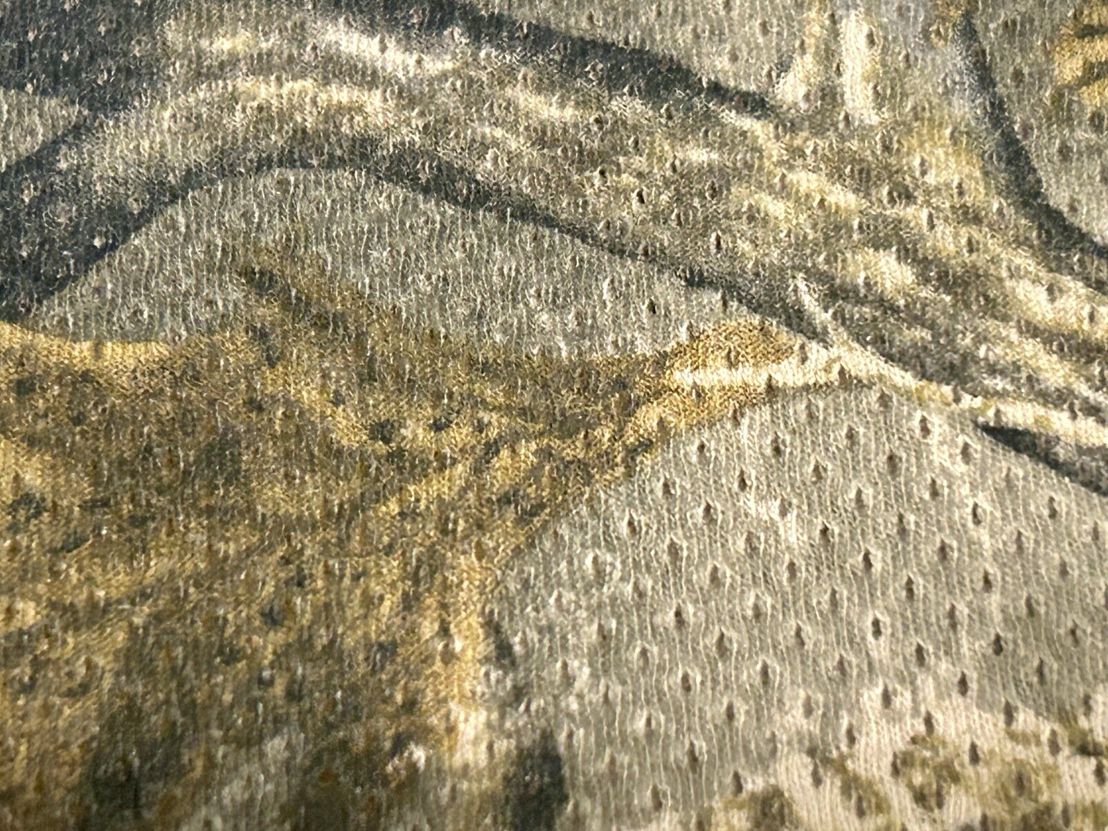 Picture 3 of 8