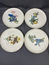 Syracuse China American Song Birds Plates Set Of 4