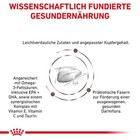 Bild 3 von 7