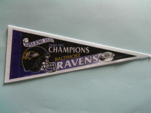 NFL Team Super Bowl Mini Pennant - New - Many Teams Available - 第 4/15 張圖片