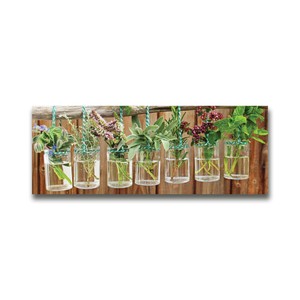 -SONDERANFERTIGUNG- Glas-Bild 80x30 Blumen & Pflanzen Kräuter in