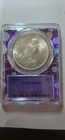 1923 Peace Silver Dollar PCGS MS64 in a purple Bert TraderBea slab