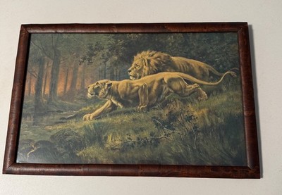 Lithograph Wildlife Safari Cabin Lo Vintage Framed Lion & Lioness Stalking Scene