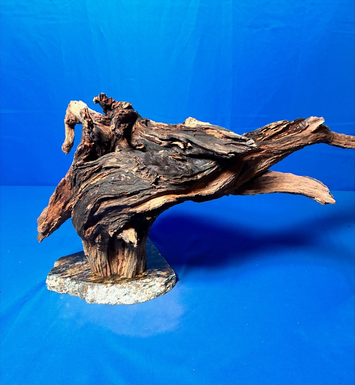 Aquarium Fish Tank Terrarium Aquascape  Manzanita Root Granite Base