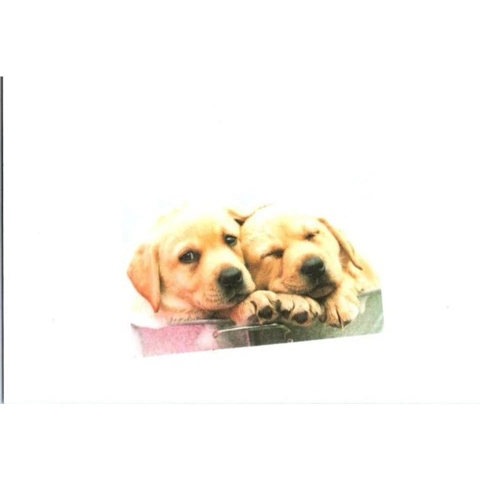 New Leanin' Tree Puppies Greeting Card By Rachael Hale Photography Blank Inside - Image 3 of 4