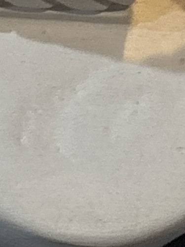 ALDO LONDI für Bitossi Ararchitectura sitzende Katze Skulptur - weiße Keramik Italien, - Bild 7 von 12