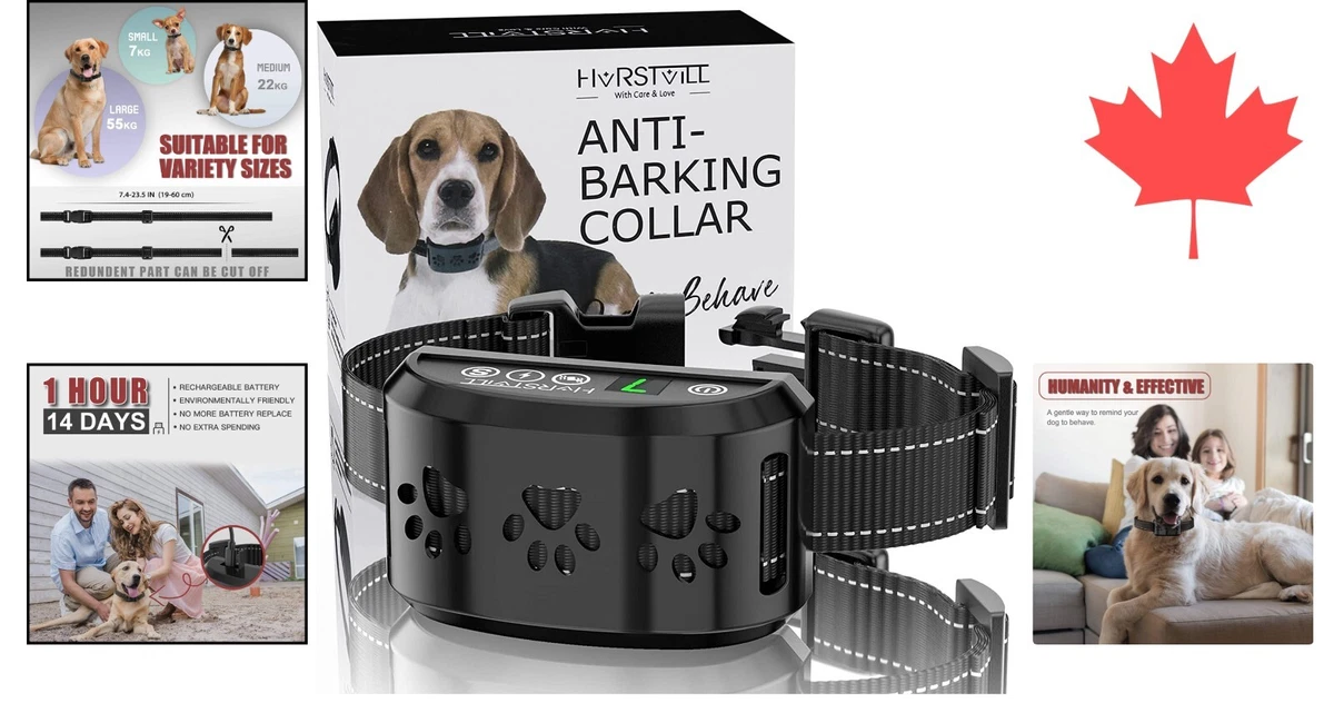 High visibility dog collar 2025