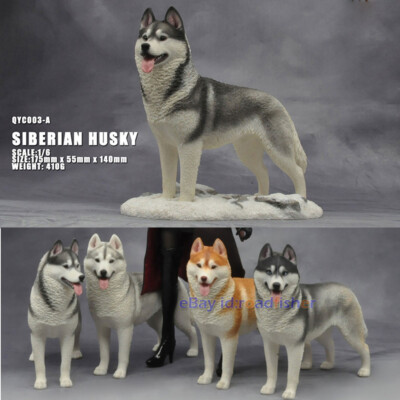 OUT THERE FOREVER 1/6 Siberian Husky Model Animal Dog Collector Decor Painted