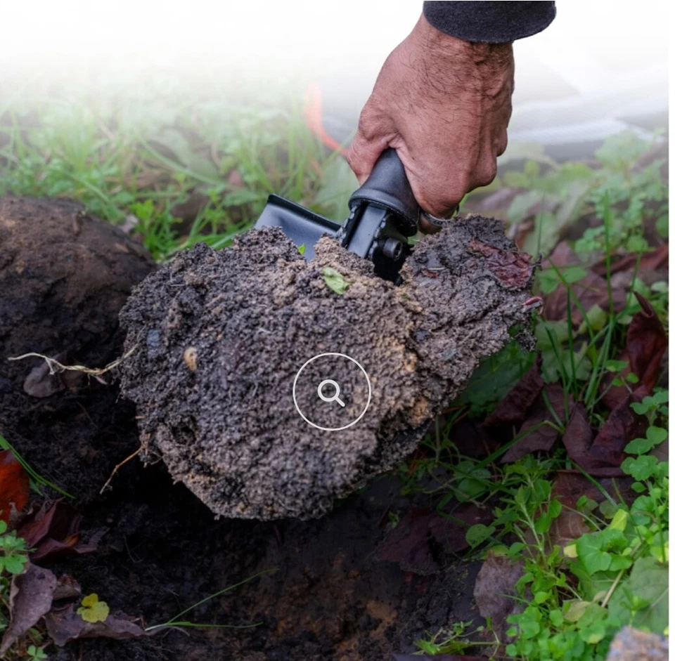 Pala Plegable 23" Acero al Carbono Portátil Estuche Compacto Jardín Camping Supervivencia Foto 4 de 4