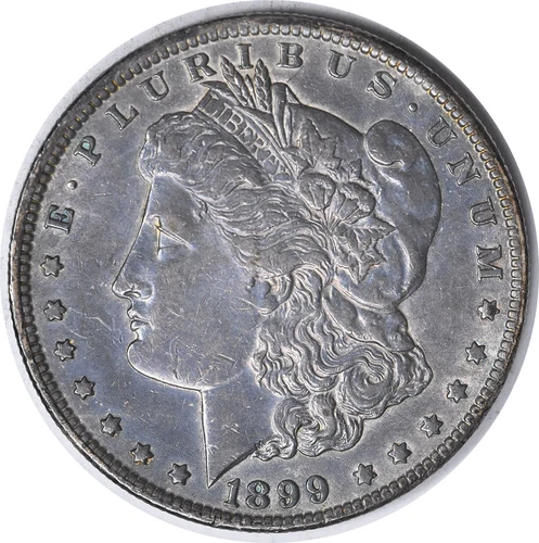 1899-o VAM 6 Morgan Silver Dollar Micro o EF Uncertified #1253
