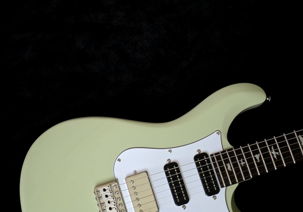 Paul Reed Smith(PRS) SE STUDIO STANDARD