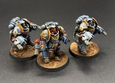 PRO Painted GW Warhammer 40k Ultramarine Aggressors MTm