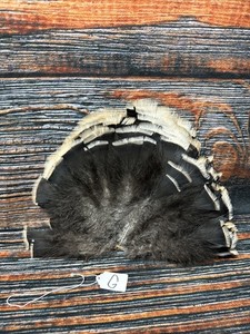 Mini Wild turkey Tail feathers plume art fan Bustle Fly Tying Craft Mount Voodoo