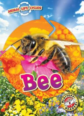Animal Life Cycles: Bee by Sabelko, Rebecca