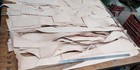 Bild 6 von 10