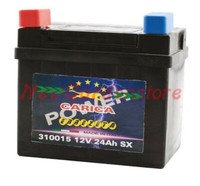 Batterie 12V/24Ah Polo Pluspol Links LadegeräT AufsitzmäHer RasenmäHer 310015