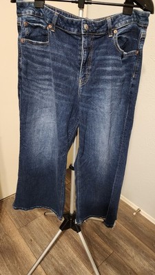American Eagle Jeans Womens 14 Extra Short Low Rise Baggy Wide Leg 