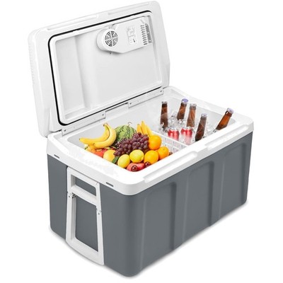 Kühlbox 48 Liter tragbar mit Rollen Thermoelektrisch 12V 220V Grau