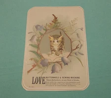 Antique CAT KITTEN Victorian Trade Card LOVE ~ BUTTONHOLE & SEWING MACHINE B-701