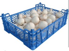 1 to 10 Plastic Stackable Storage Tray, Crate - Mushroom Box, DIY, Crafts