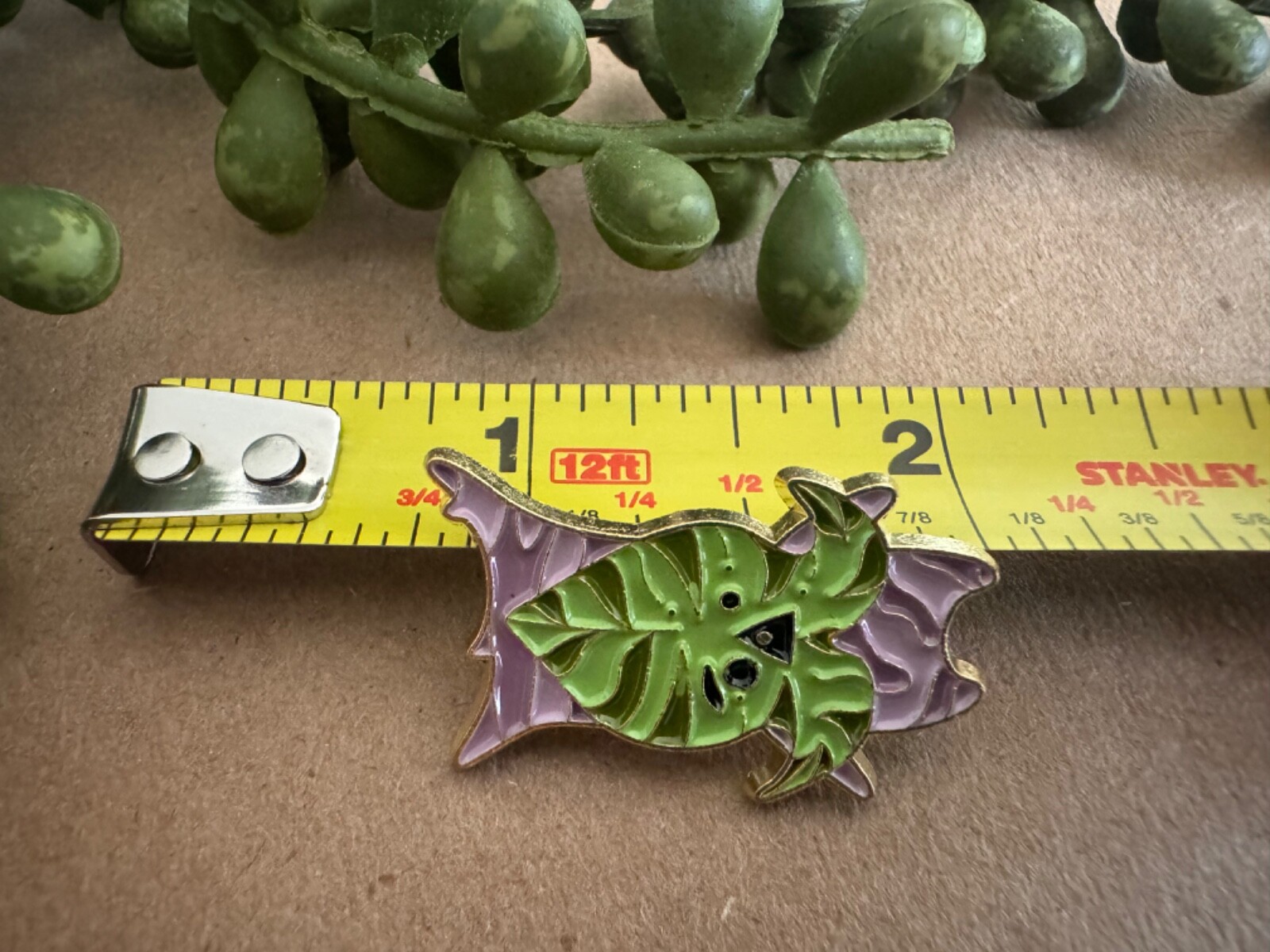 Picture 12 of 25