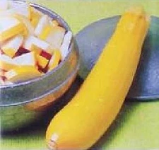 Squash Summer Seneca Prolific Zucchini Vegetable Seeds