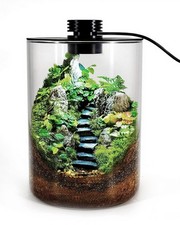 Desktop Glass Terrarium with Grow Light 7.5" H x 5.9" D for Succulents, Moss...