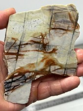 Picasso Marble (Jasper) end Slab Cabbing Lapidary Utah Combo Ship Avail