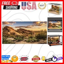 Reptile Habitat Background Blue Sky Oasis Cactus Sun and Desert Terrarium Bac...
