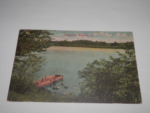 HONESDALE PA - 1911 USED POSTCARD - CHESTNUT LAKE - WAYNE COUNTY