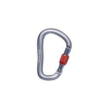 BLACK DIAMOND RockLock Screwgate Carabiner  Hot-Forged, ONE, Gray