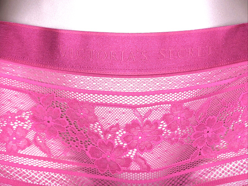 Victoria's Secret NWT Small Pink Lace Boyshort Panty Sheer Logo Floral Cute - Picture 4 of 9