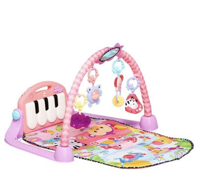 fisher and paykel play gym