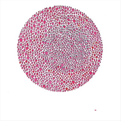 AN ABUNDANCE OF STRAWBERRIES NEW CASSETTE