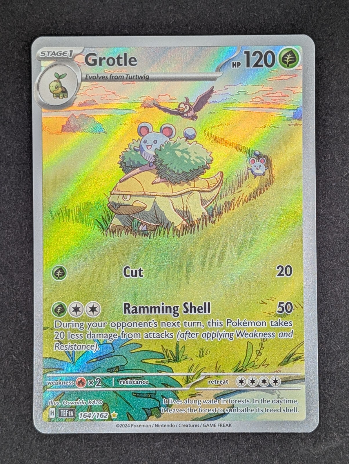 Grotle #164 [Illustration Rare] Pokemon TCG Temporal Forces NM