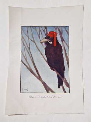 SW 'He Lives at His Ease', Bird Cartoon Original 1904 Lithograph