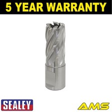 Sealey Worksafe� 18mm HSS Mag Drill Bit Cut Depth 25mm RBHSS18S